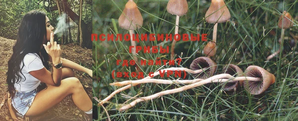 мдма Богданович