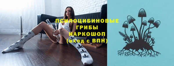 кокс Богородицк