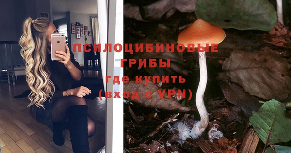 мдма Богданович
