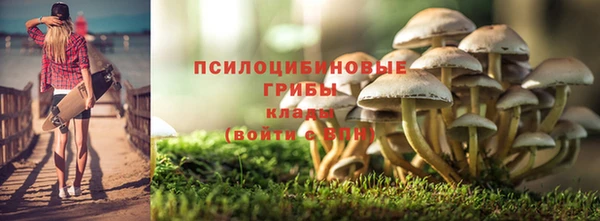 мяу мяу мука Беломорск