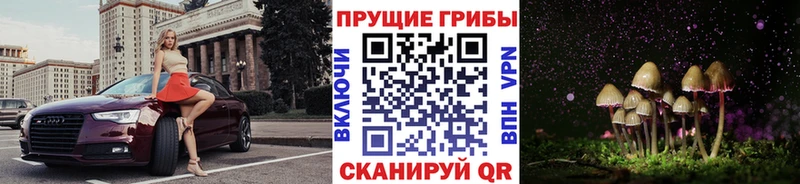 Псилоцибиновые грибы Cubensis  как найти наркотики  Малоярославец 